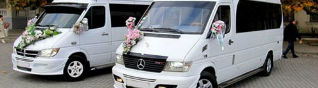 Аренда микроавтобуса на свадьбу и юбилей в Казани